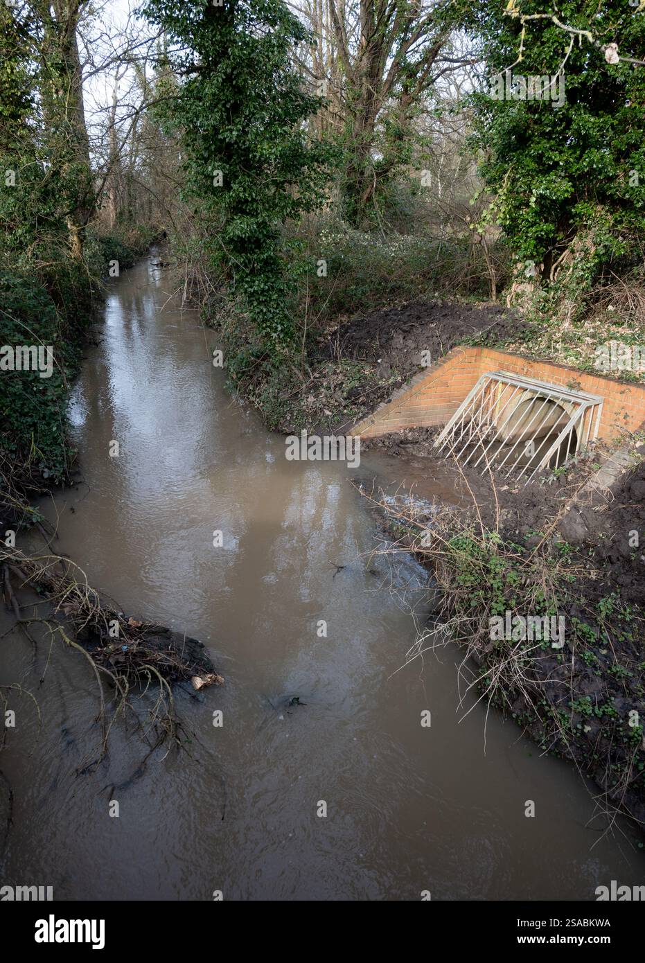 Gog Brook à Hampton Road, Warwick, Warwickshire, Angleterre, Royaume-Uni Banque D'Images