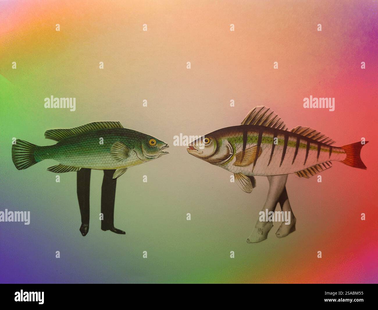 Art conceptuel de collage de deux poissons avec des jambes parlant l'un à l'autre Banque D'Images