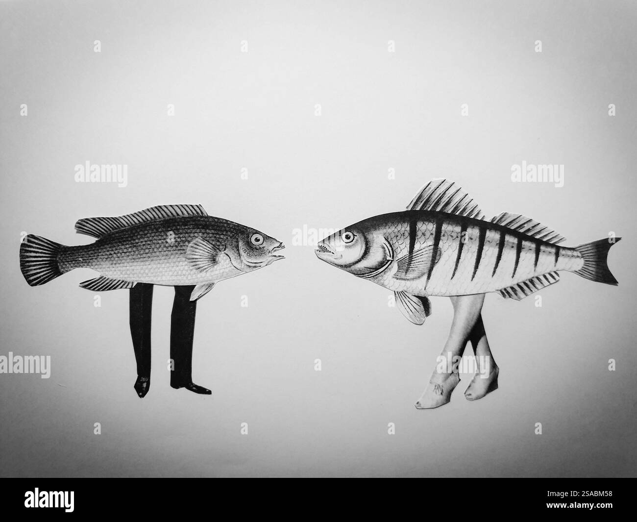 Art conceptuel de collage de deux poissons avec des jambes parlant l'un à l'autre Banque D'Images