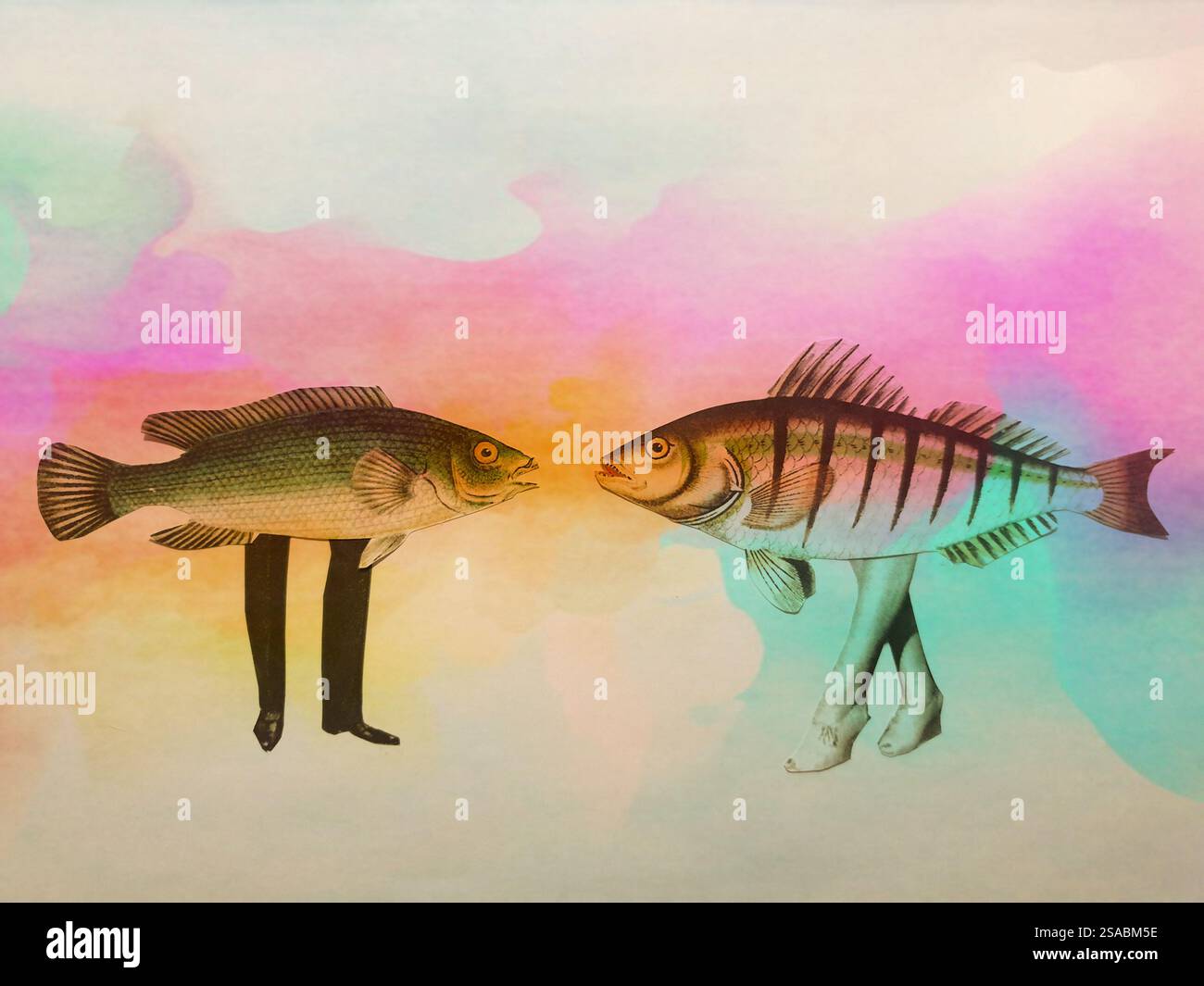 Art conceptuel de collage de deux poissons avec des jambes parlant l'un à l'autre Banque D'Images