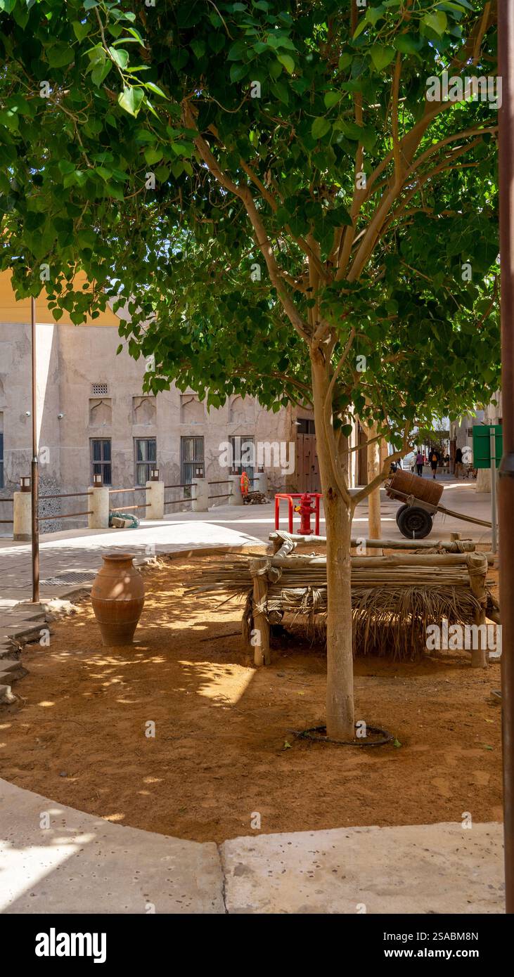 Rue de Dubaï vieille ville ou ville ou vieux village Al Seef Khor dans le quartier Al Fahidi, Émirats arabes Unis. Image verticale. Banque D'Images