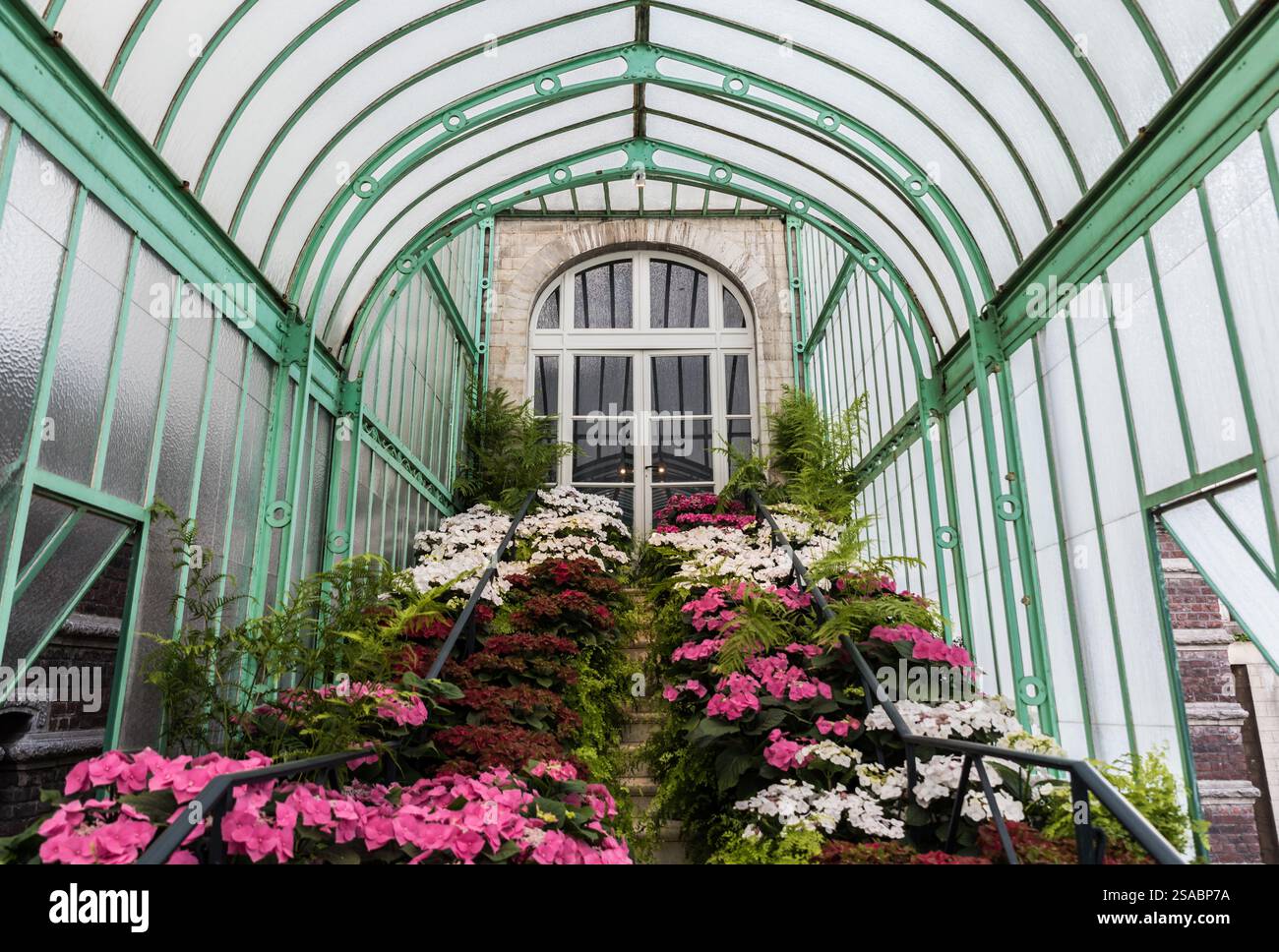 Laeken, Bruxelles Belgique - 04 28 2018 : serres royales Art Nouveau décorées avec des fleurs colorées au palais du Roi Banque D'Images
