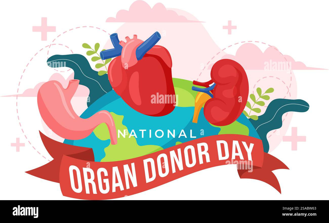 Illustration vectorielle de la Journée nationale des donneurs d'organes le 14 février avec des reins, du cœur, des poumons ou du foie pour la transplantation et les soins de santé en fond plat Illustration de Vecteur Illustration vectorielle de la Journée nationale des donneurs d'organes le 14 février avec des reins, du cœur, des poumons ou du foie pour la transplantation et les soins de santé en fond plat Illustration de Vecteur