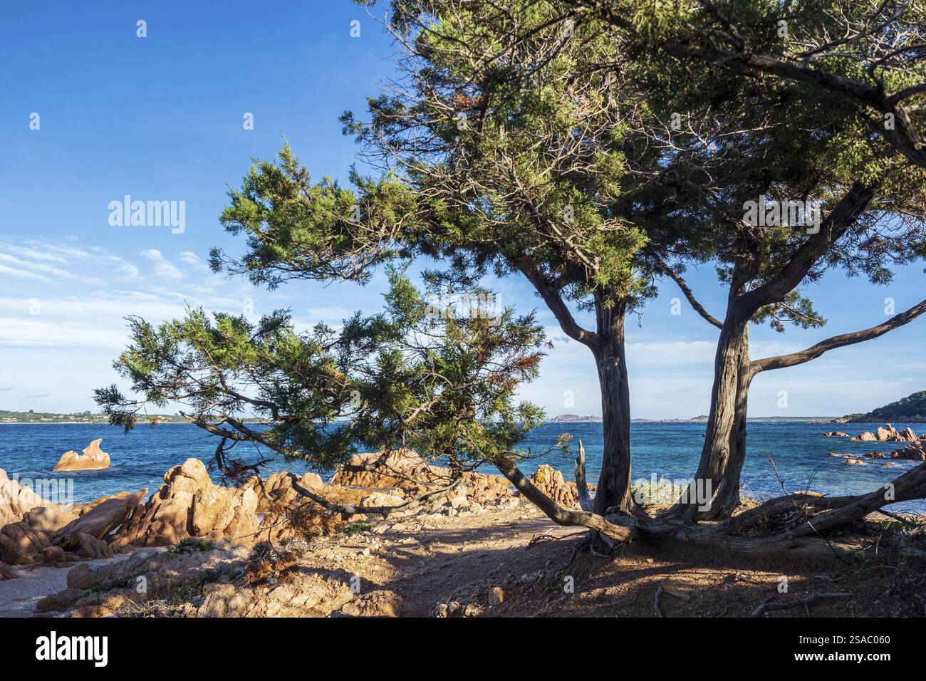 Une photo de la belle plage de Liscia Ruja en Sardaigne Banque D'Images