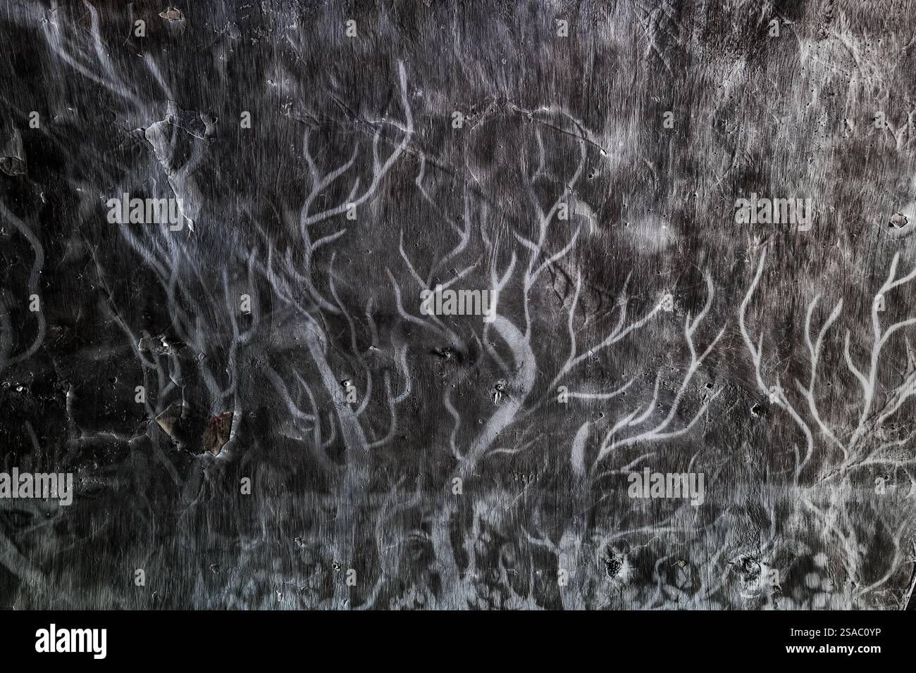 Murale abstraite effrayante d'arbres ou de flammes sur un mur noirci couvert de suie noire dans un bâtiment abandonné. Banque D'Images