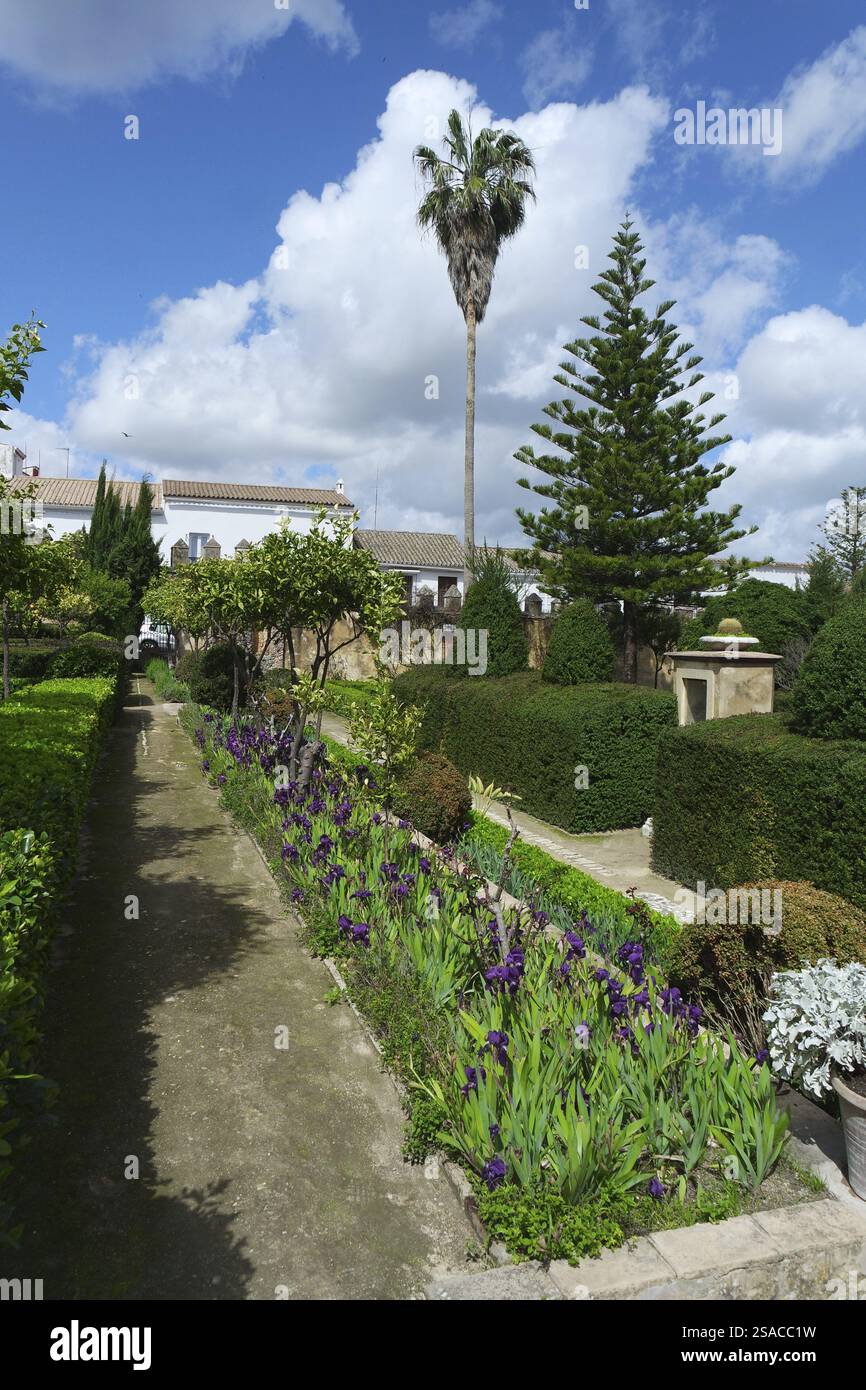 Paysage du parc en Andalousie, Bornos Banque D'Images