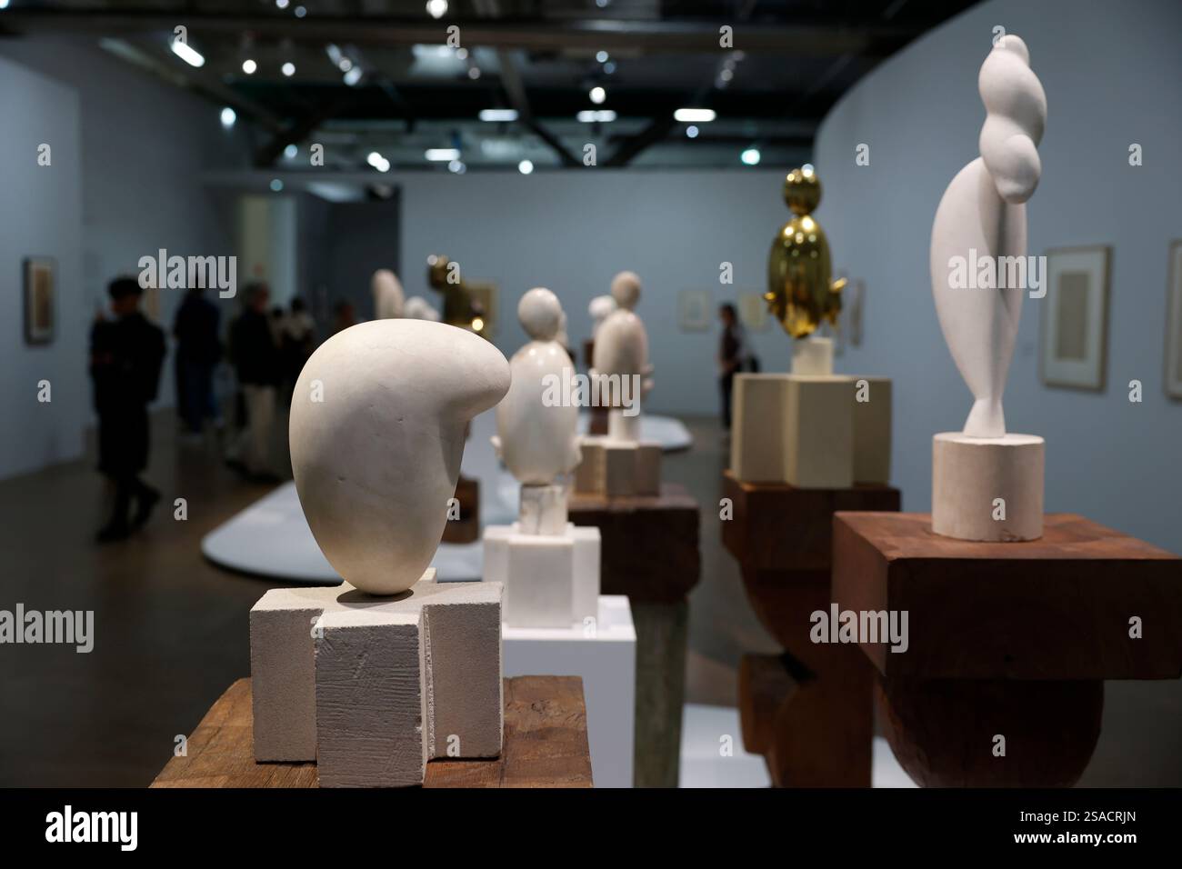 Exposition Brancusi au centre Pompidou, Paris, France Banque D'Images