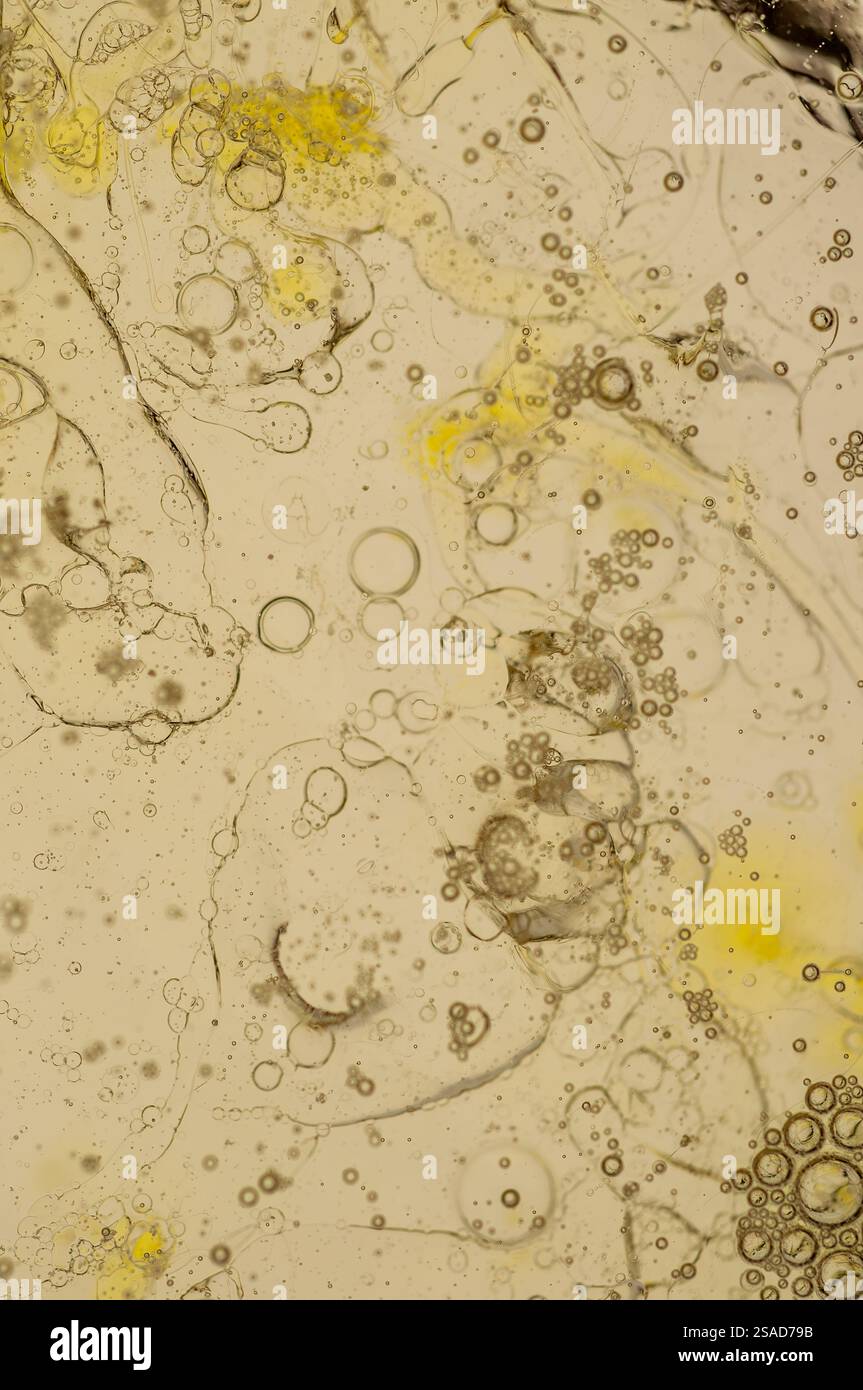 Gros plan à fort grossissement d'un mélange de liquides, probablement d'huile et d'eau, ou d'une autre combinaison de liquides non miscibles. Banque D'Images