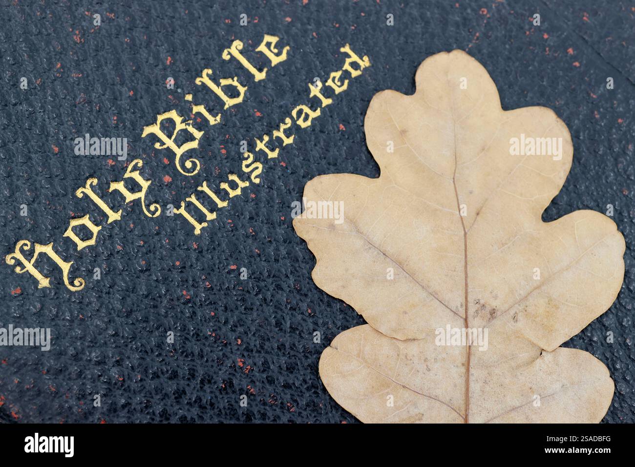 Bible avec une feuille d'arbre séchée. Banque D'Images