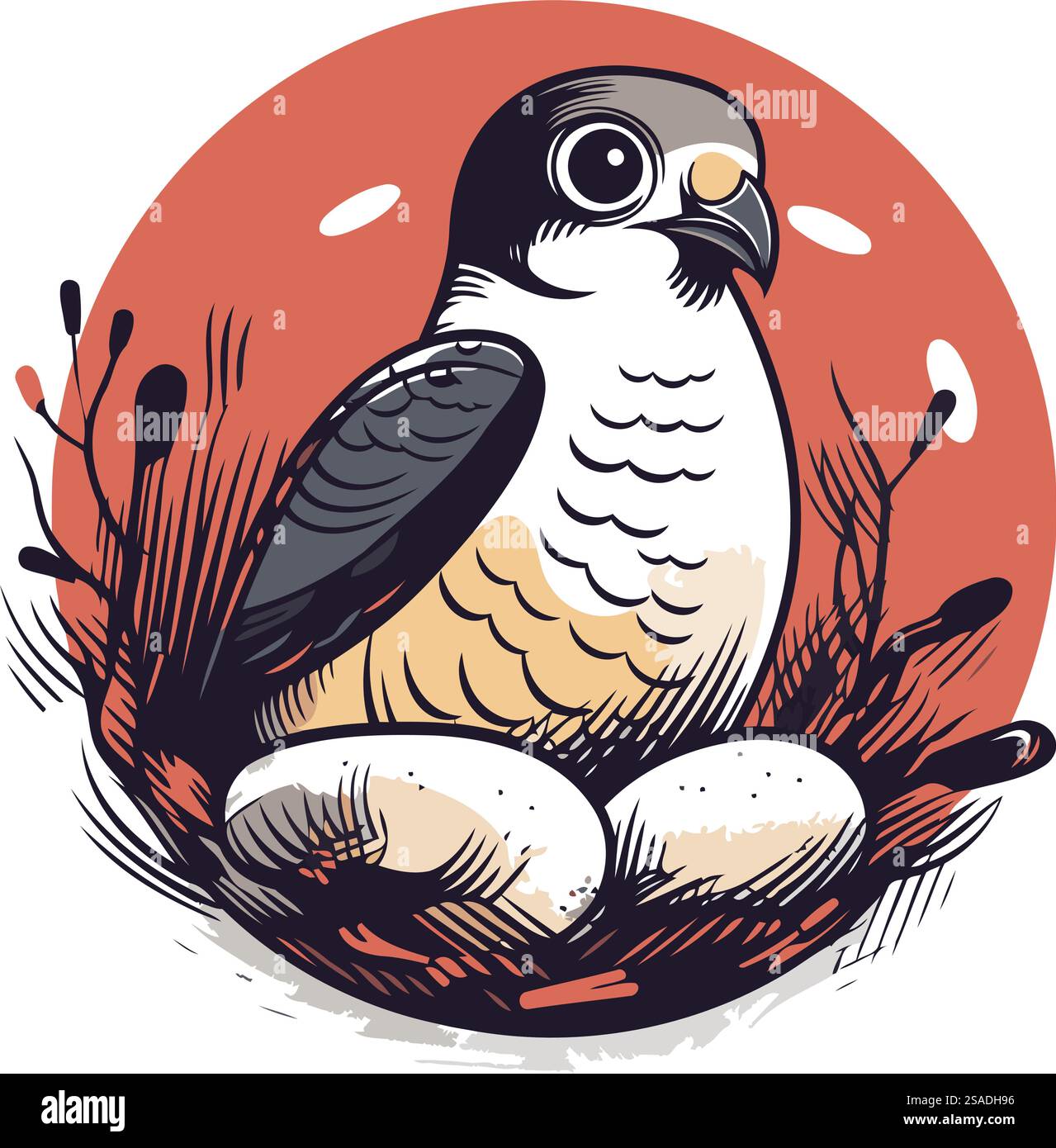 Pigeon assis sur un nid avec des œufs. Illustration vectorielle. Illustration de Vecteur Pigeon assis sur un nid avec des œufs. Illustration vectorielle. Illustration de Vecteur