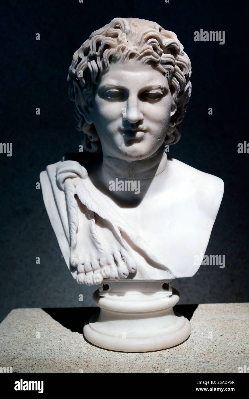 Musée Calouste Gulbenkian. Chef de Satyr. Roman. IIe siècle A.D. Marble. Banque D'Images