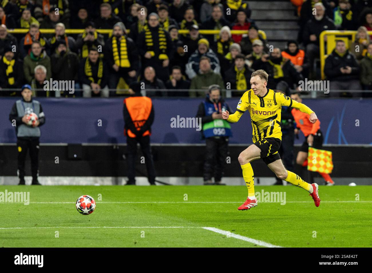 Dortmund, Deutschland. 29 janvier 2025. Maximilian Beier (Borussia Dortmund, 14) UEFA Champions League : Borussia Dortmund - FC Shakhtar Donetsk ; signal Iduna Park, Dortmund ; 29.01.2025 crédit : dpa/Alamy Live News Banque D'Images