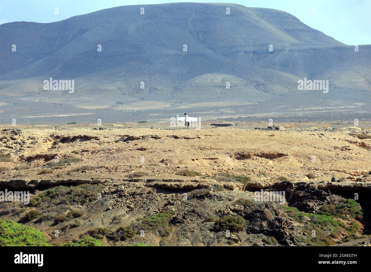 Homme portant la planche de surf à travers le paysage désertique éloigné, El Cotillo Fuerteventura, îles Canaries, Espagne, Europe, UE. Prise en novembre 2024 Banque D'Images