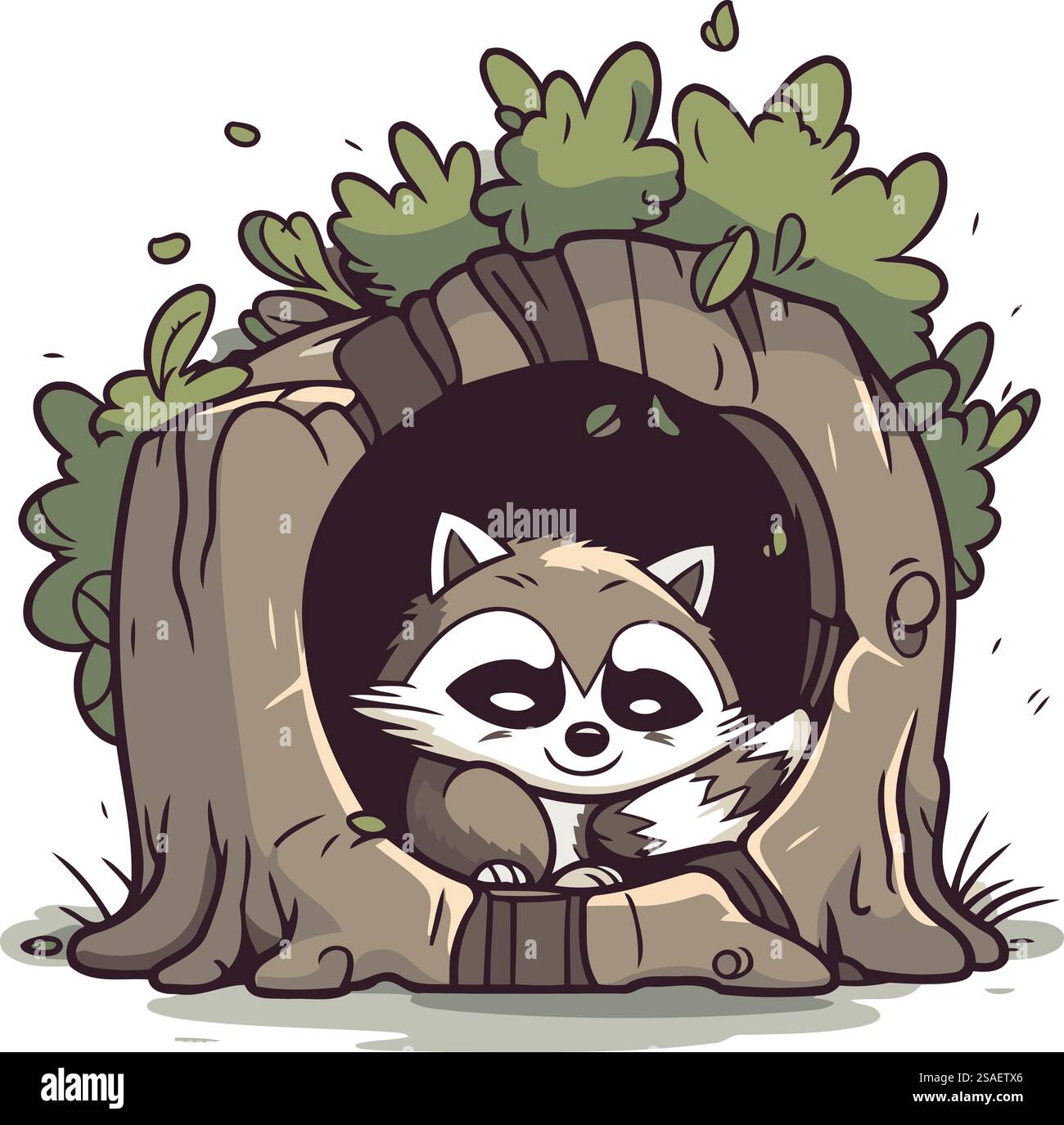Raton laveur dans un trou dans un arbre. Illustration vectorielle. Illustration de Vecteur
