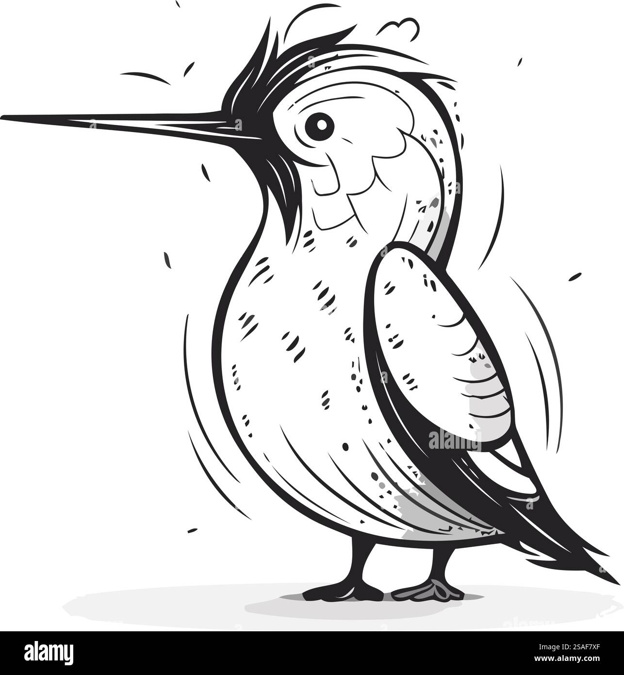Illustration vectorielle en noir et blanc d'un oiseau pic-bois dans le style de bande dessinée. Illustration de Vecteur