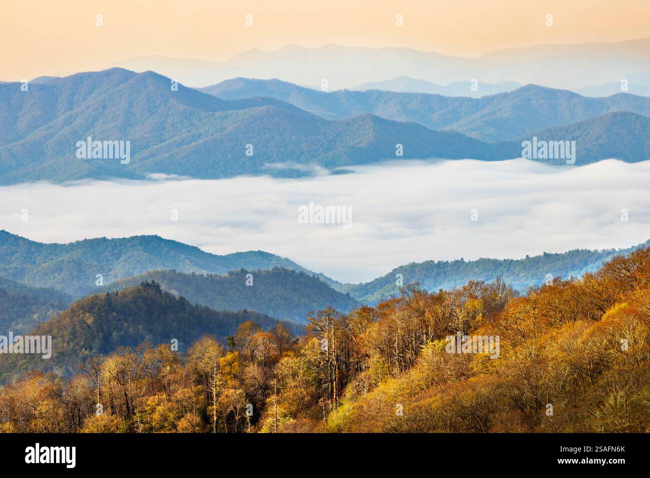 Matin de printemps et rivière de brume dans Deep Creek Valley, parc national des Great Smoky Mountains, Caroline du Nord Banque D'Images