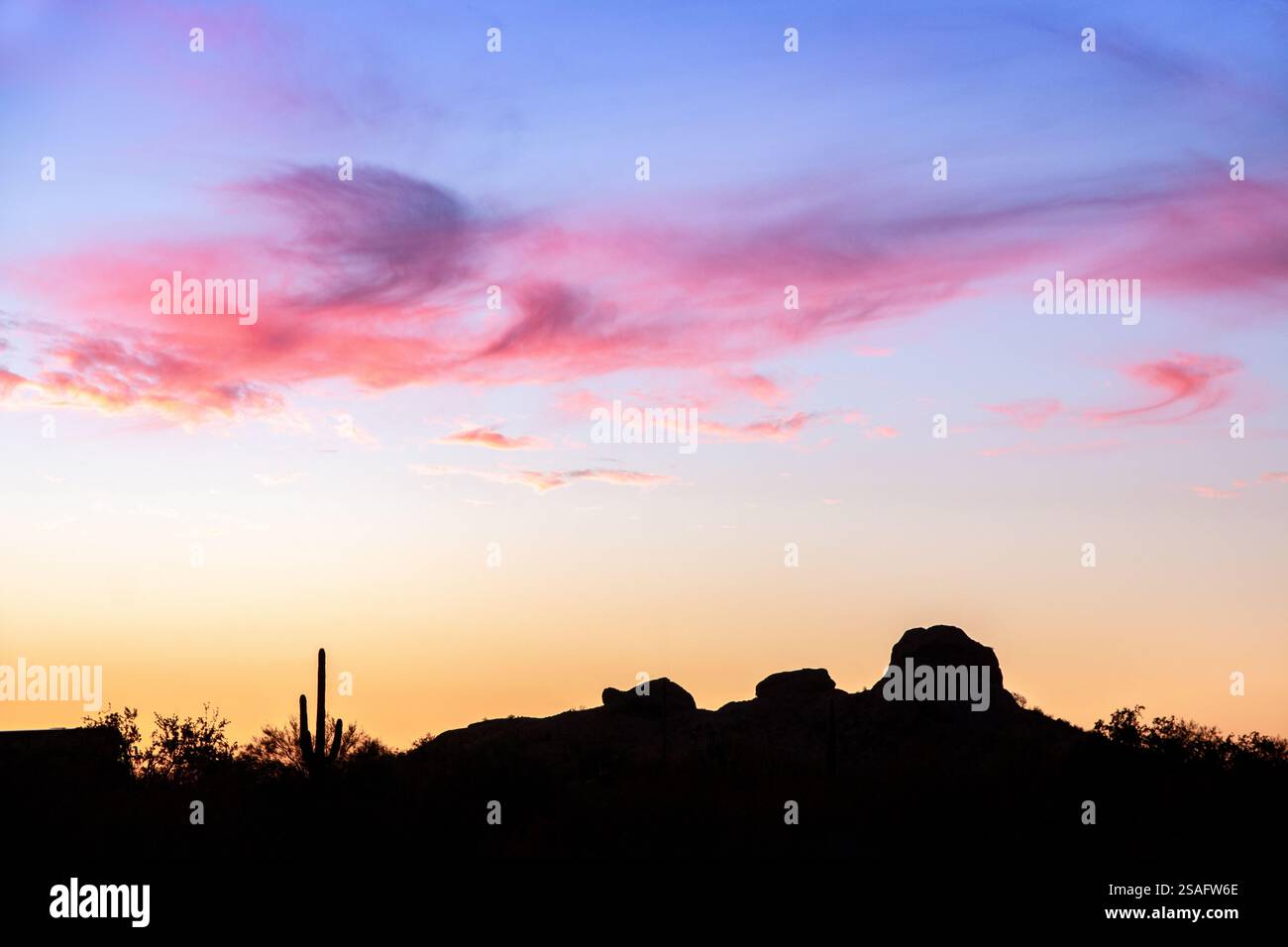Un magnifique coucher de soleil dans le désert de l'Arizona peint le ciel dans des teintes vives de rose et d'orange, dessinant les formations rocheuses emblématiques et les cactus du parc Papago Banque D'Images