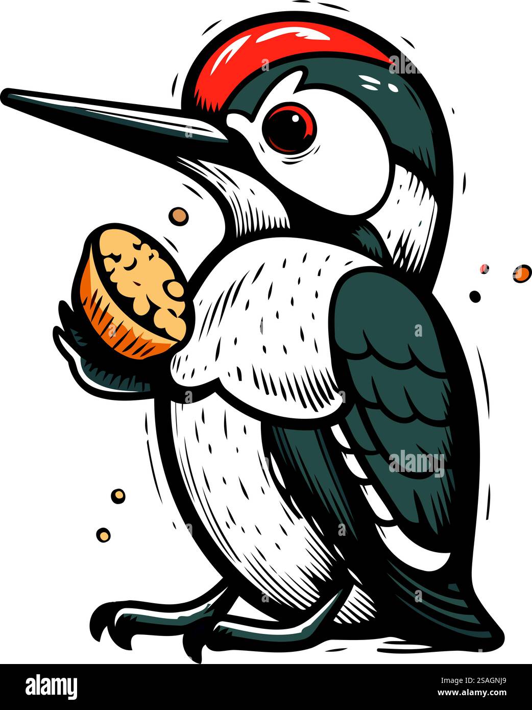 Pic de bois avec noix dans son bec. Illustration vectorielle. Illustration de Vecteur