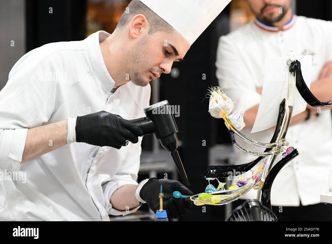 Lyon, Rhône, France. 26 janvier 2025. Le travail du chef Maxime Tardieu s'est présenté au Championnat d'Europe Sugar Art au Sirha. La conférence au Sirha Lyon faisait partie d'une grande exposition sur l'hôtellerie et la restauration, qui présentait des conférences sectorielles, des concours comme le Bocuse d'Or et des vitrines d'innovation culinaire et de durabilité. (Crédit image : © Romain Doucelin/SOPA images via ZUMA Press Wire) USAGE ÉDITORIAL SEULEMENT! Non destiné à UN USAGE commercial ! Banque D'Images