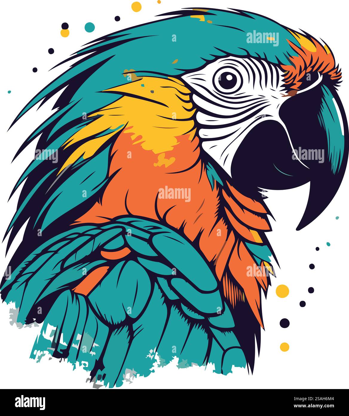 Image vectorielle d'un perroquet d'acas coloré sur un fond blanc Illustration de Vecteur