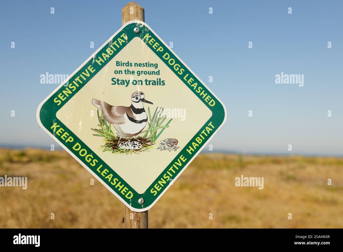 Panneau d'avertissement montrant l'illustration du nid de tueurs avec un message sur l'habitat sensible et le maintien des chiens en laisse à Centennial Beach Banque D'Images