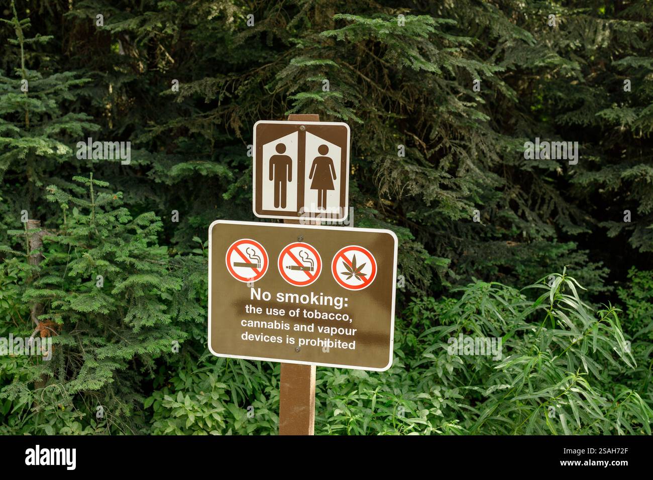 Panneau d'installation du parc montrant les symboles des toilettes et les règles interdisant de fumer, y compris le tabac, le cannabis et les restrictions de vapotage, affiché sur le dos à feuilles persistantes Banque D'Images