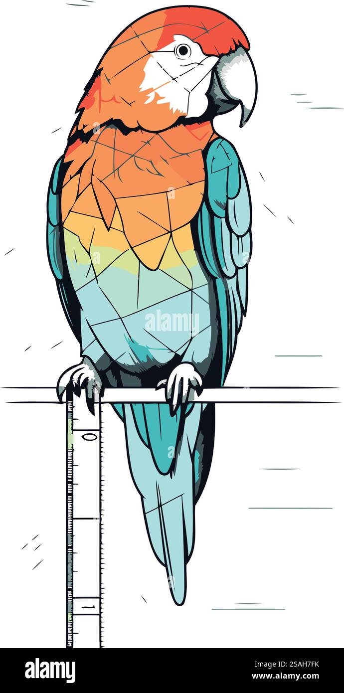 Perroquet coloré assis sur un escabeau. Illustration vectorielle Illustration de Vecteur