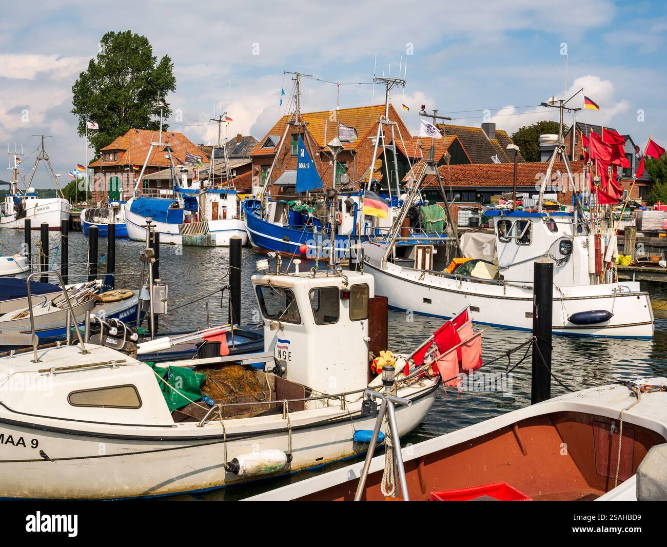 Petits bateaux de pêche amarrés dans le port de Maasholm le long du fjord de Schlei, Schleswig-Holstein, Allemagne Banque D'Images