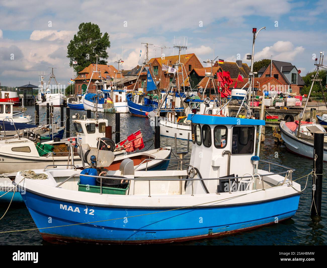 Petits bateaux de pêche amarrés dans le port de Maasholm le long du fjord de Schlei, Schleswig-Holstein, Allemagne Banque D'Images