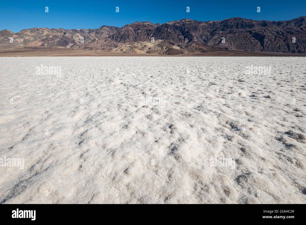 Plat salin du bassin de Badwater, parc national de la Vallée de la mort, Californie, États-Unis Banque D'Images