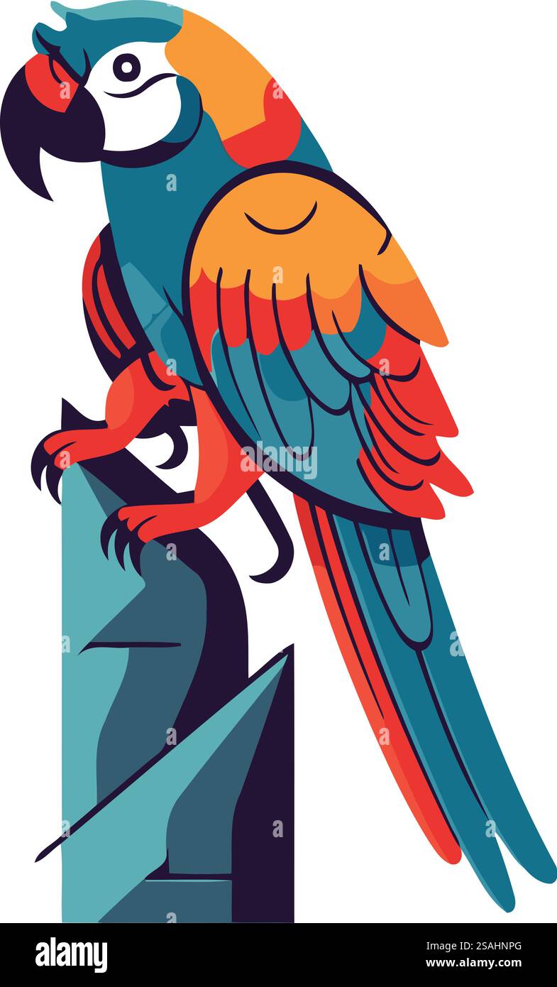 Perroquet de dessin animé. Illustration vectorielle colorée sur fond blanc. Illustration de Vecteur