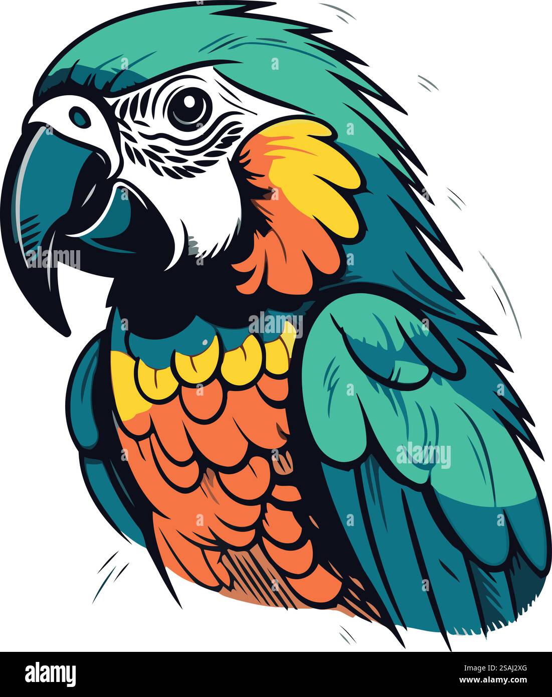 Perroquet macaw coloré isolé sur fond blanc. Illustration vectorielle. Illustration de Vecteur