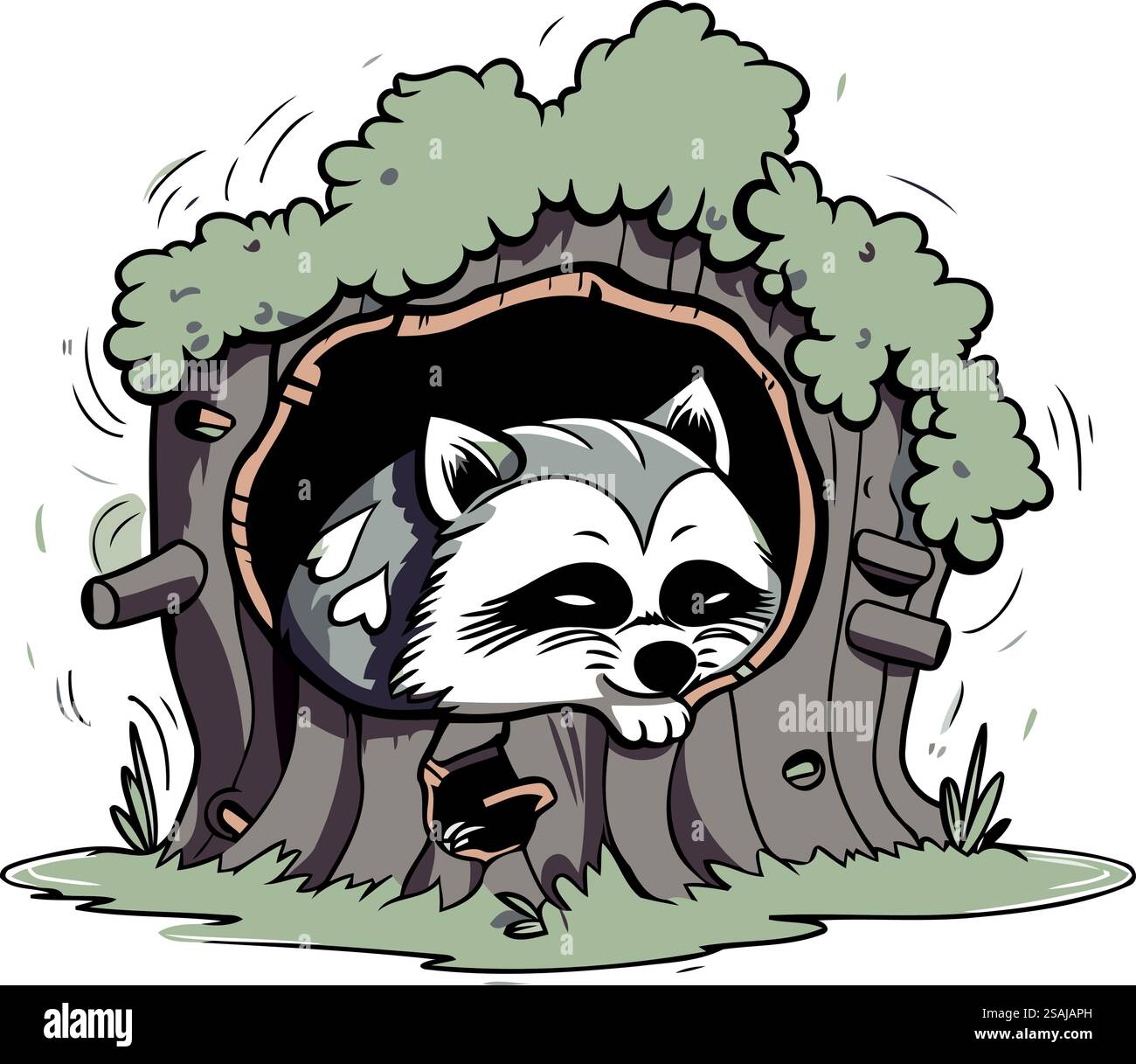 Raton laveur dans un trou dans l'arbre. Illustration vectorielle. Illustration de Vecteur Raton laveur dans un trou dans l'arbre. Illustration vectorielle. Illustration de Vecteur