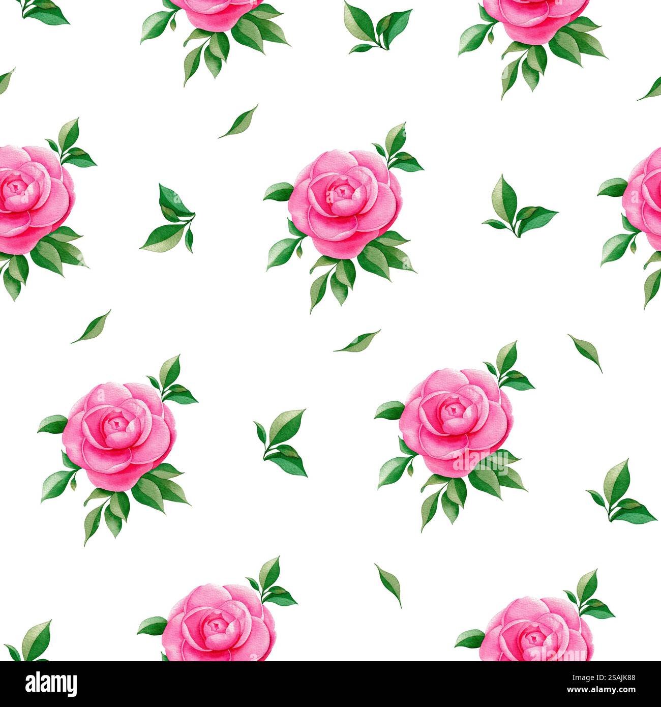 Motif sans couture de camélia. Illustration de fleurs roses botaniques à l'aquarelle. Banque D'Images