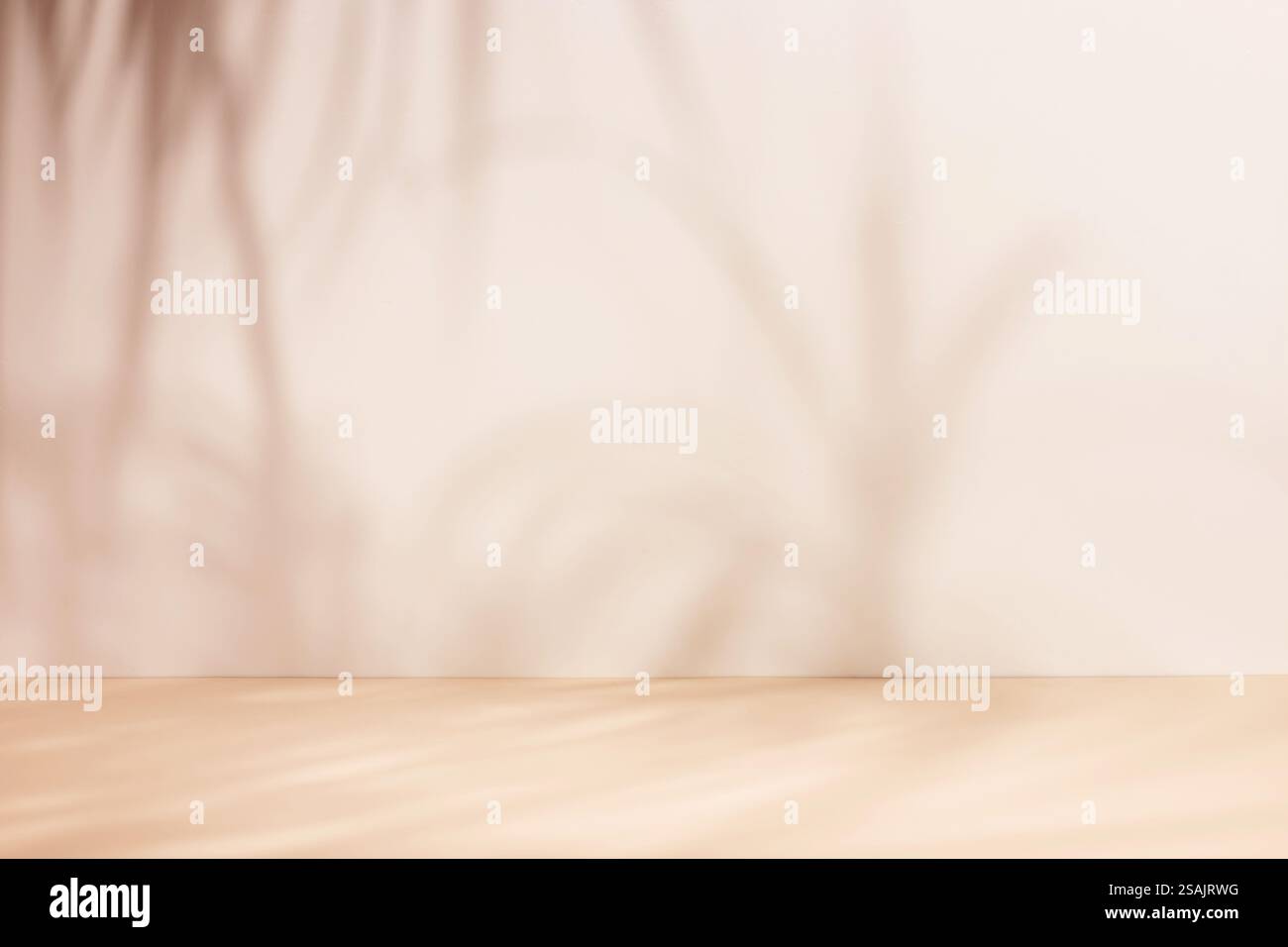 Fond beige clair doux abstrait minimaliste pour la présentation du produit avec ombre légère et complexe des branches d'arbres sur le mur. Banque D'Images