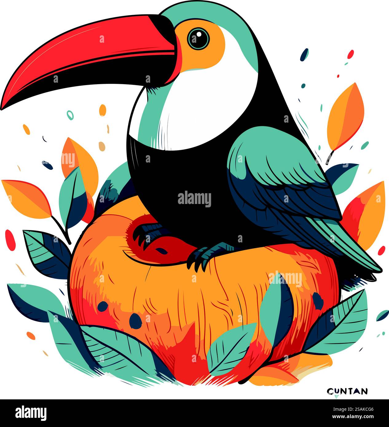 Toucan assis sur une citrouille. Illustration vectorielle colorée. Illustration de Vecteur