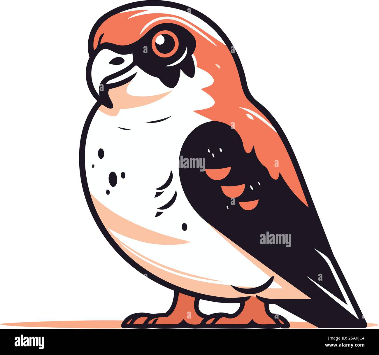 Oiseau cardinal à cou rouge. Illustration vectorielle sur fond blanc. Illustration de Vecteur