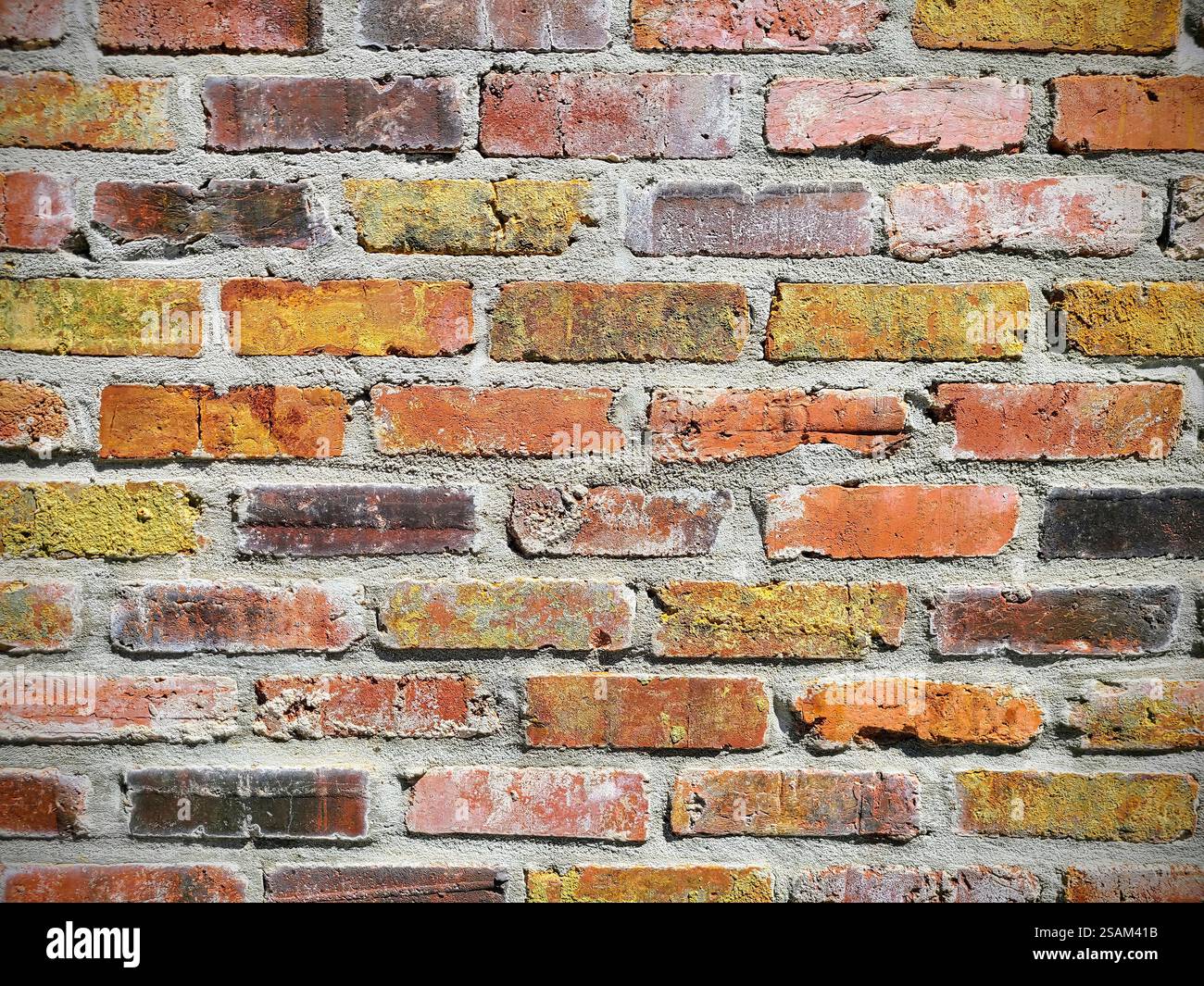 Gros plan sur la texture du mur de briques rustiques en plein jour Banque D'Images