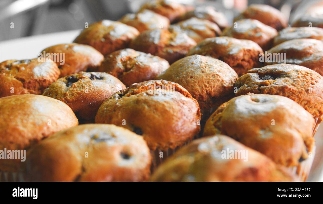 Gros plan sur la présentation de muffins aux myrtilles fraîchement cuits dans le café-restaurant Banque D'Images