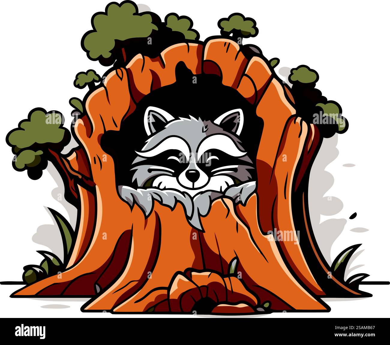 Raton laveur dans le creux d'un arbre. Illustration vectorielle. Illustration de Vecteur Raton laveur dans le creux d'un arbre. Illustration vectorielle. Illustration de Vecteur