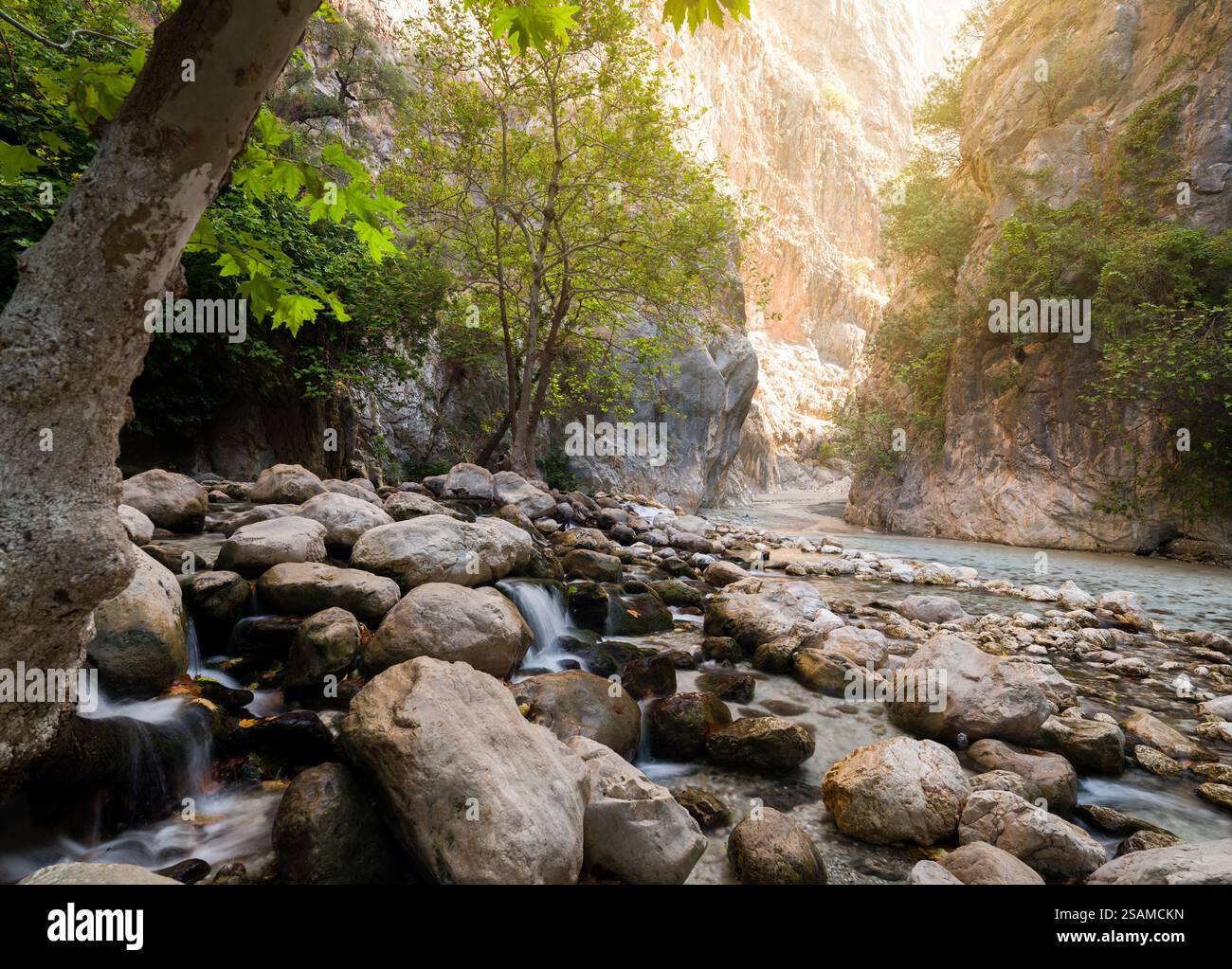 Eau de source naturelle coulant entre les rochers. Vue matinale dans le parc national de Saklikent. District de Fethiye, province de Mugla, pays de Turquie Banque D'Images