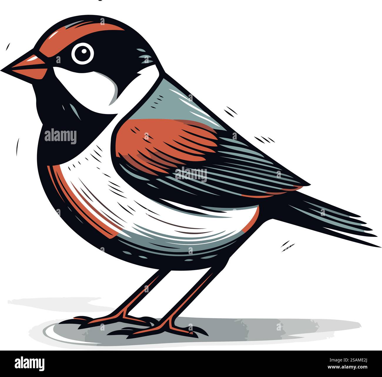 Chickadee. bullfinch. Illustration vectorielle dessinée à la main. Illustration de Vecteur