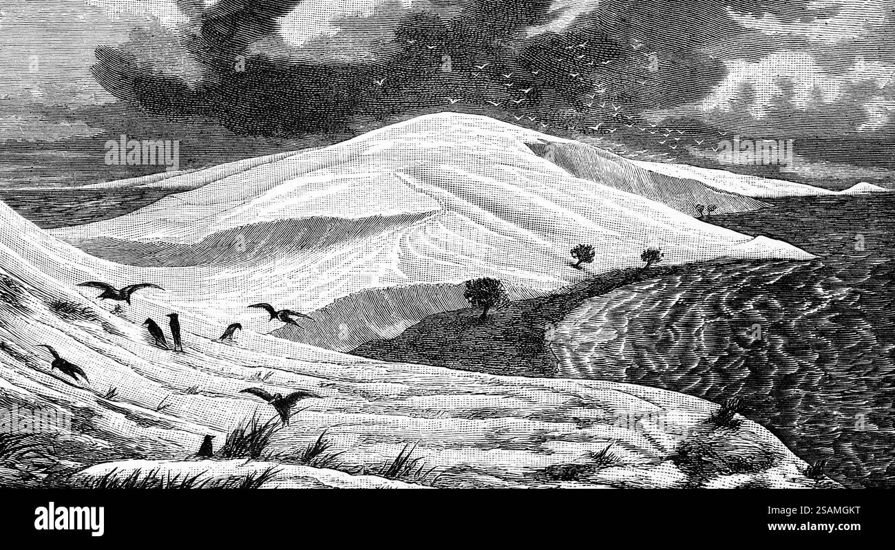 Paysage de dunes à la mer Baltique, l'Spit de Curonien et la lagune de Curonien, oiseaux, vagues, voyage, Lituanie, illustration historique 1885, Europe Banque D'Images