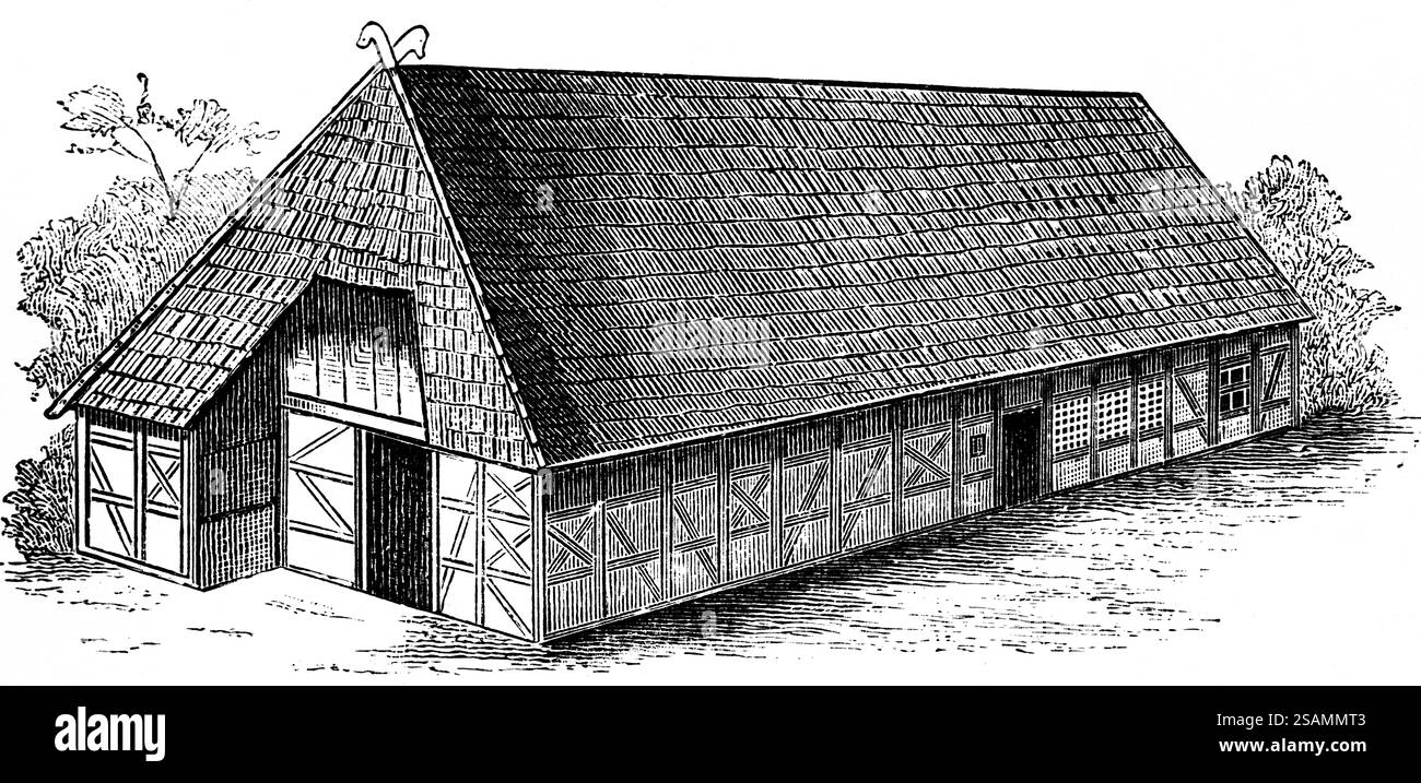 Maison à colombages saxonne, maison d'habitation avec écuries, bardeaux de toit, porte en planche, foin, architecture régionale, type de maison, voyage, Saxe, Allemand Banque D'Images