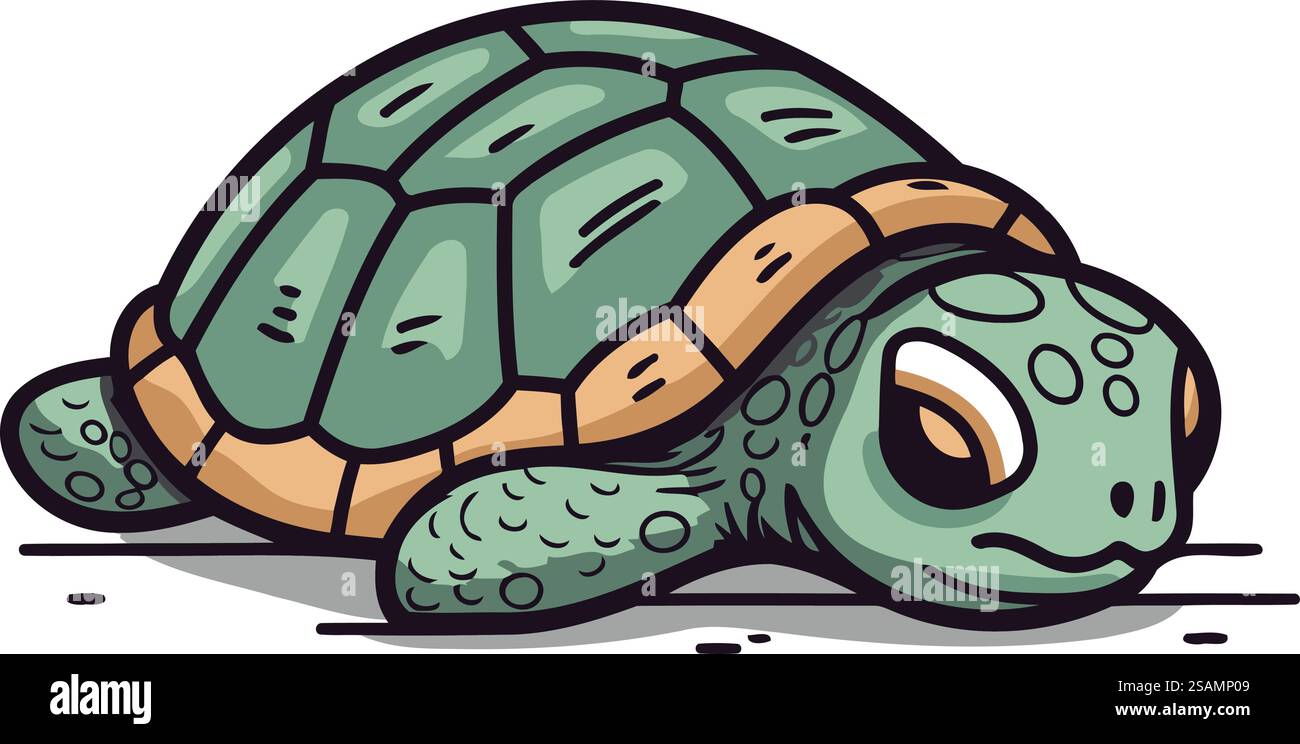 Icône tortue. Illustration vectorielle d'une tortue. Style dessin animé. Illustration de Vecteur