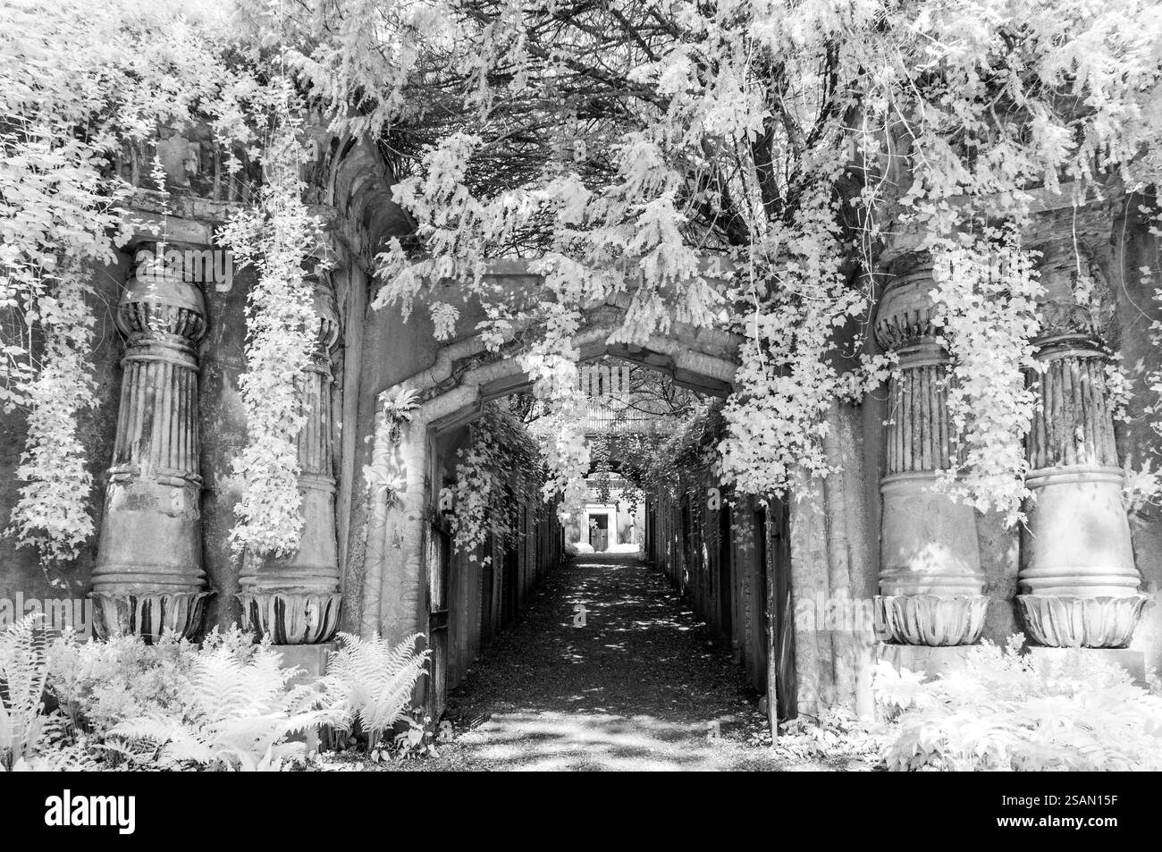 Egyptian Avenue Gangway dans Highgate Cemetery West, Londres Banque D'Images