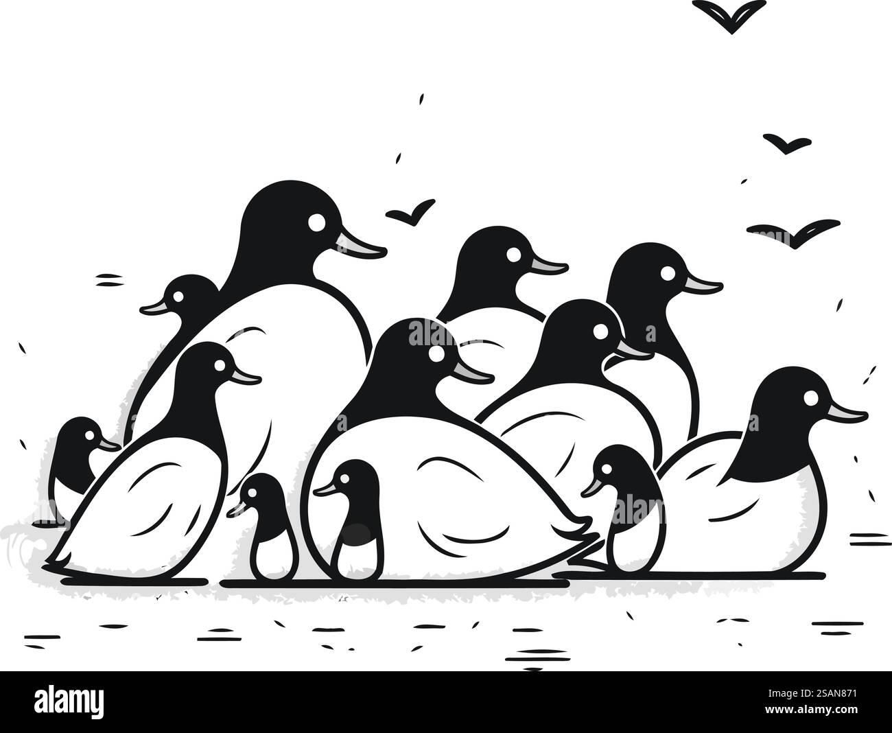 Famille de canard. Illustration vectorielle en noir et blanc isolée sur fond blanc. Illustration de Vecteur