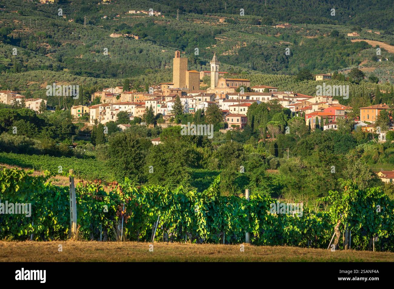 Village de Vinci, lieu de naissance de Léonard de Vinci et vignobles. Province de Florence, région Toscane, Italie, Europe Banque D'Images Village de Vinci, lieu de naissance de Léonard de Vinci et vignobles. Province de Florence, région Toscane, Italie, Europe Banque D'Images