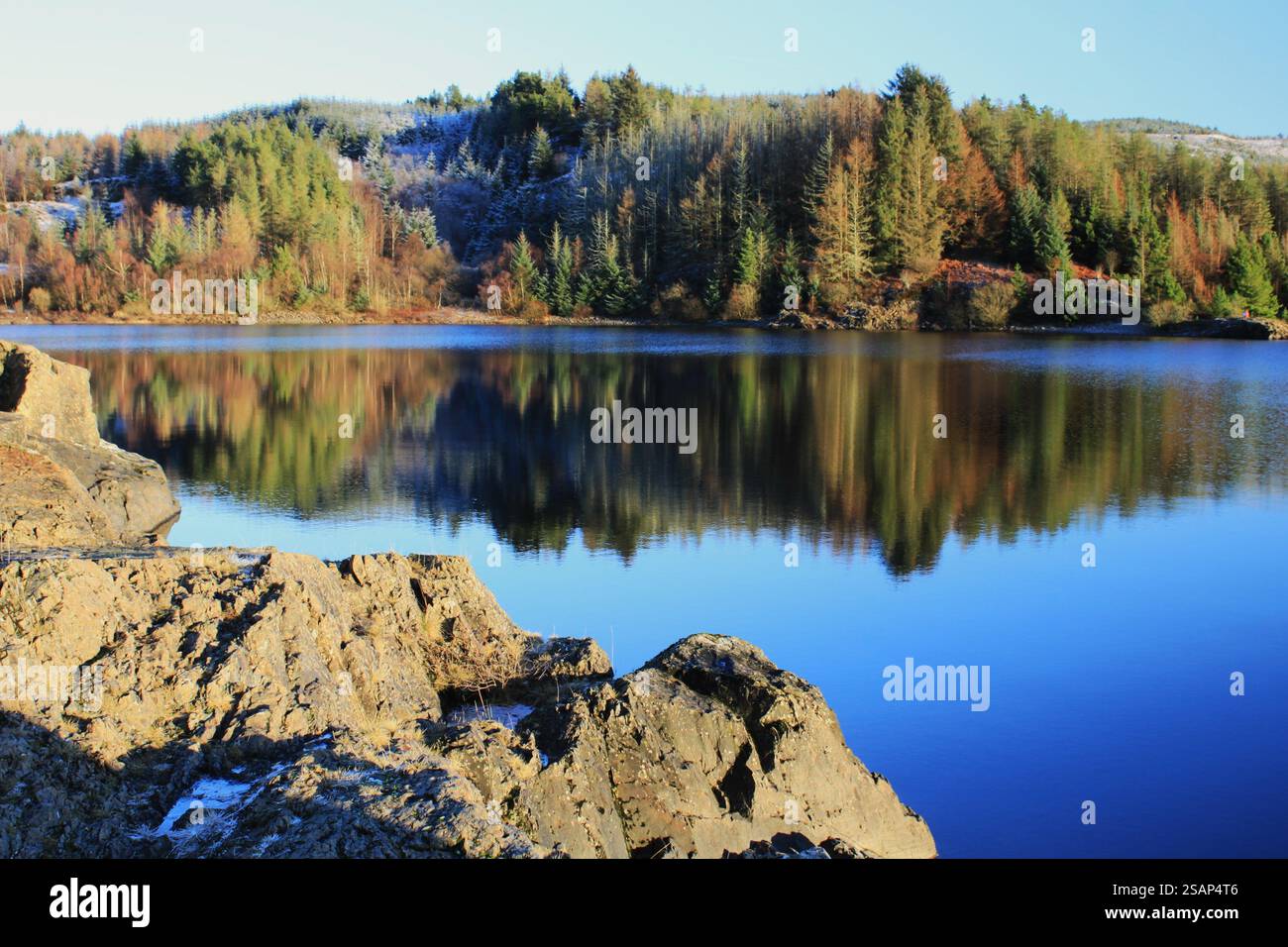Galloway Forest Park - Écosse Banque D'Images