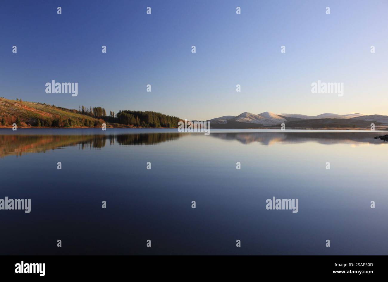 Galloway Forest Park - Écosse Banque D'Images